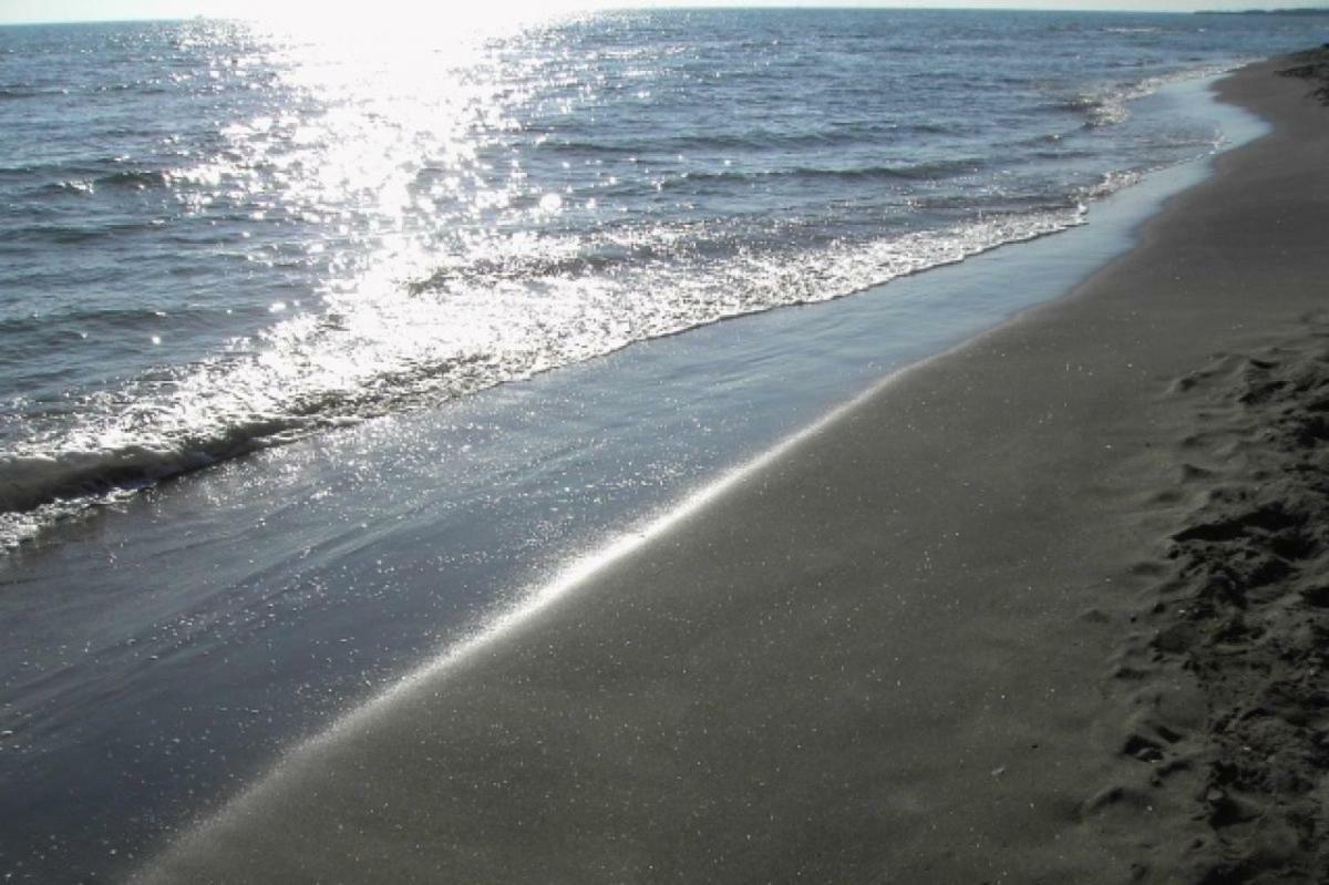 Violetta Hotell Lido di Ostia Eksteriør bilde
